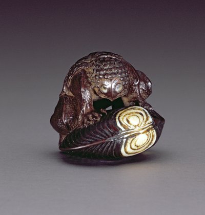 Netsuke, das einen Kappa zeigt, der auf einer Muschelschale kauert, 1860-80 von Komin